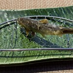 元町 井おか - 小鮎の天ぷら、蓮根と水茄子の天ぷらは写真撮るの忘れてしまった〜。
