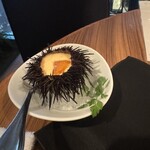 恵比寿焼肉　kintan - 生雲丹のフラン