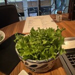 恵比寿焼肉　kintan - 玉締めしぼり胡麻油とサラノバレタスのチョレギサラダ