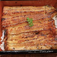 新宿うな鐵 はなれ - うな重特上