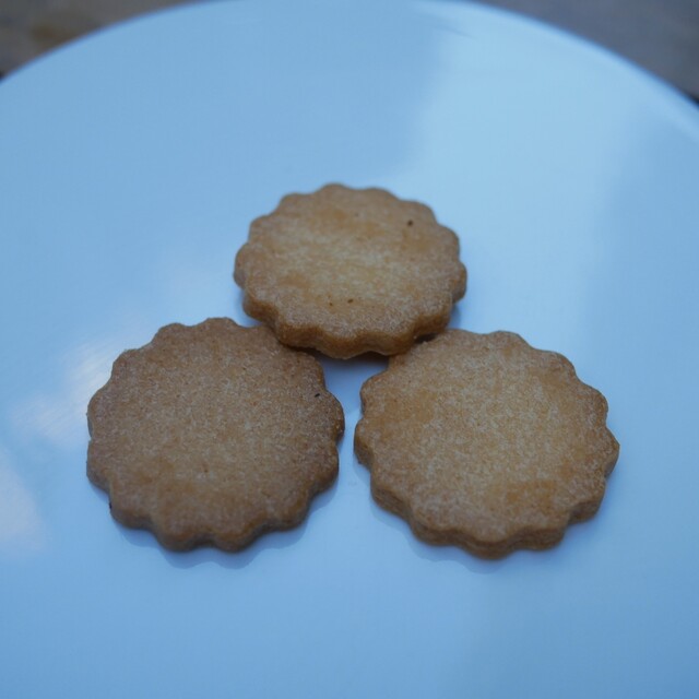 VINCENT GUERLAIS BISCUITS Francais photo 3