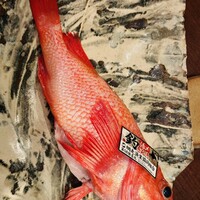 寿司 はせ川 西麻布店 - 