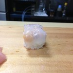 幸っちゃん寿司 - アオリイカ+海栗