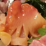 出羽鮨 - 活赤貝。