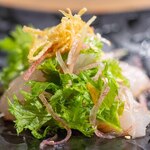 Chuukadainingu Ichizuisshin - 2024.5 静岡産天然真鯛の中華風お刺身サラダ（当日〆2kg）
