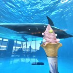 イルカの見えるレストラン - あまおうソフト¥500内　席に座れて涼めて景色が良くてイルカが見られて可愛いおいりトッピングのソフトクリームが500円！激安。冷た甘い滑らかなアイスとおいりのクシャッとした食感もたのしい。とても良い。