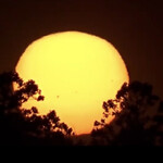 ニュー高根 - 今朝の日の出^_^