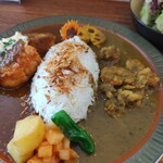 Da.uchi Curry - 