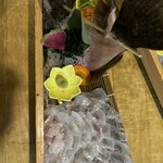 釣船茶屋ざうお 目黒店 - 