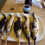 杉ケ瀬ヤナ - 右の３匹がBセットの大鮎、左の二匹がＡセットの中鮎です