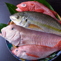 極上鮮魚