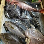 魚屋 Fish.K - 
