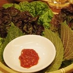 西光園 - チシャ