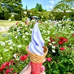 247119870 - 藤の花ソフトクリーム