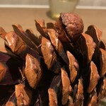 ラチュレ - 紛れすぎ