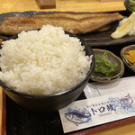 Toro Masa - ご飯大盛り　大盛り無料