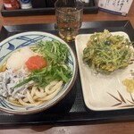 丸亀製麺 高崎店 - めんたシラスおろしうどん 三つ葉のかき揚げ