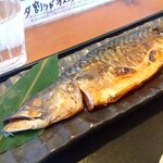 さかな食堂 - 