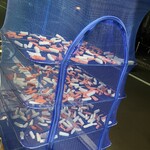 タカリ バンチャ ガル - 店先で大根と人参仕込みちう