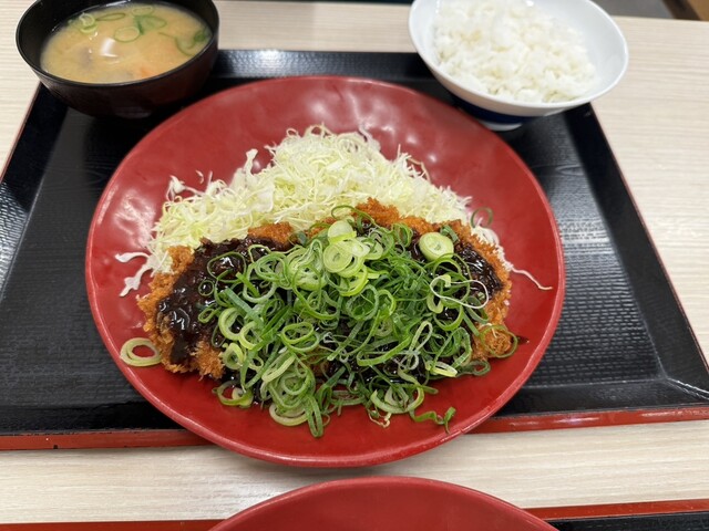 Katsuya Kawasaki Mizonokuchi Ten - Mizonokuchi/Tonkatsu