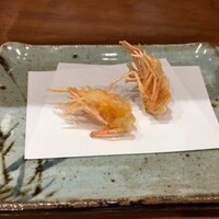 天冨良 よこ田 - 