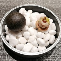 しまなみふれんち Murakami - 