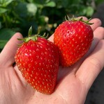 姫路ハートフル観光農園 - 