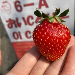 姫路ハートフル観光農園 - 