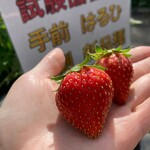 姫路ハートフル観光農園 - 