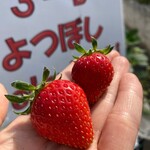 姫路ハートフル観光農園 - 