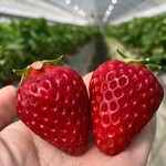 姫路ハートフル観光農園 - 