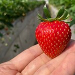 姫路ハートフル観光農園 - 