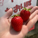 姫路ハートフル観光農園 - 