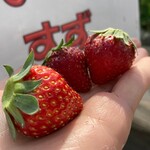 姫路ハートフル観光農園 - 