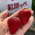 姫路ハートフル観光農園 - 