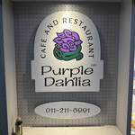 Purple Dahlia - 