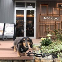 アルコバ - 