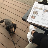 アルコバ - 