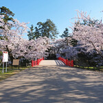 Bikkuri Donki - 杉の大橋の快晴で満開の桜