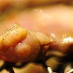 ホルモン しんちゃん - 