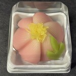 久栄堂菓子舗 - 『ねりきり(牡丹のつぼみ)』
