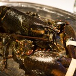 ル・マノアール・ダスティン - 