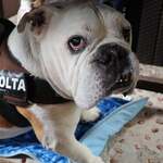 リトル ランカ - 