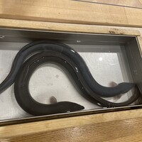 三宅輝 - 