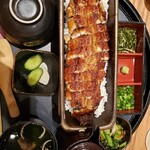 Unagi Yondai Me Kikukawa - 