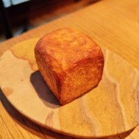 Osteria OLMO - 
