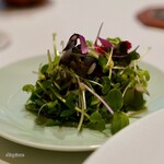 ナベノ-イズム - 