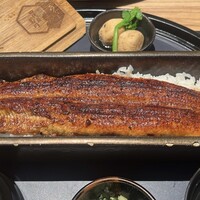 うなぎ四代目菊川 ヒルトンプラザウエスト大阪店 - 