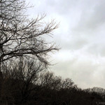 俺のラーメン あっぱれ屋 - 【2014.03.01】