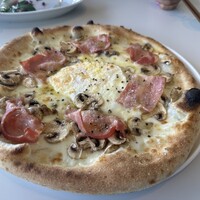 CODA ROSSA -  CODA ROSSA -